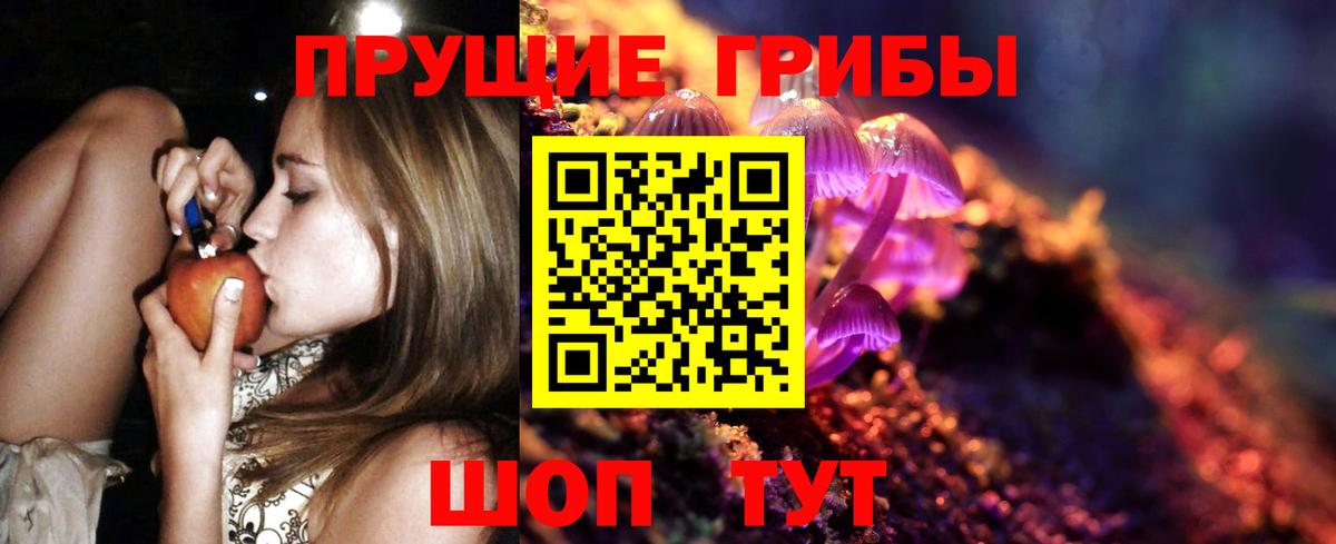 купить наркотик  Псилоцибиновые грибы Magic Shrooms  Вход с VPN  Псилоцибиновые грибы мицелий  Нарткала 