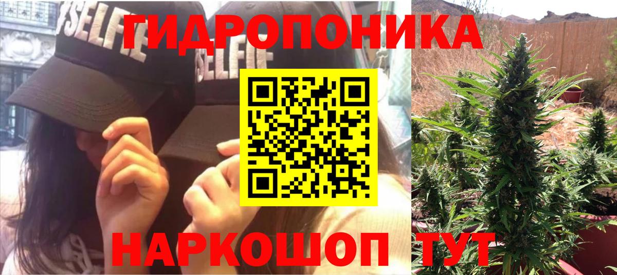 Марихуана семена Нарткала